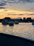 IMG_9656.jpeg